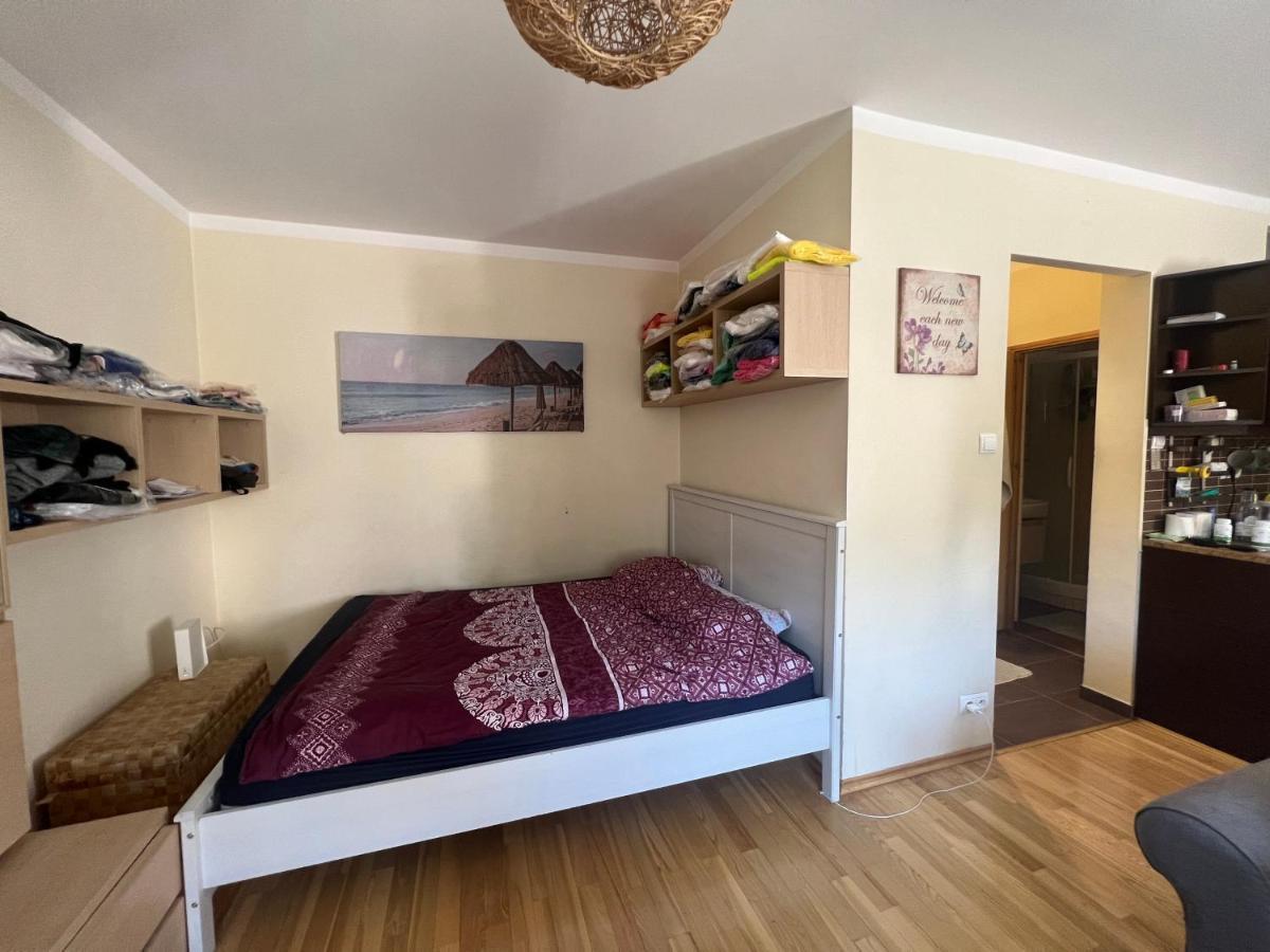Entire Studio Flat Apartment Варшава Екстериор снимка