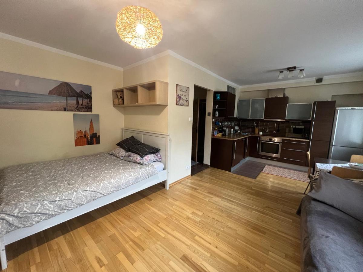 Entire Studio Flat Apartment Варшава Екстериор снимка